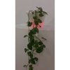 Vaso grande per fiori a led