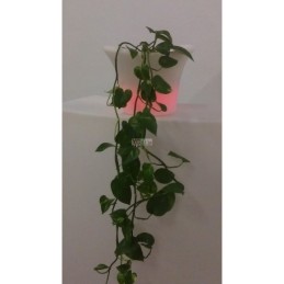 Vaso fiori luminoso a led grande|Fioraie a led