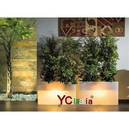 Vaso LED multicolor rettangolare per piante229,72 €Fioraie a ledF.A.R.H. Snc Di Bottacin Antonio & C