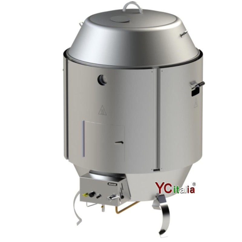 Forno Girarrosto Professionale 12 Anatre|Home