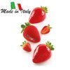 Stampo Fragola27,00 €27,00 €Stampi in silicone 3D fruitsF.A.R.H. Snc Di Bottacin Antonio & C