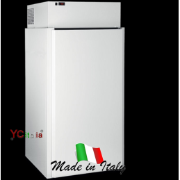Kühlschrank L1000 X P 1000 X H 2120 mit BT-Motor