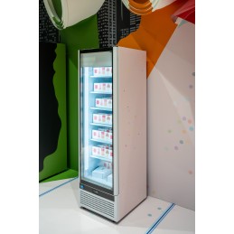 1 421,00 €F.A.R.H. Snc Di Bottacin Antonio & CVertical verre pour glace et congelé1 porte