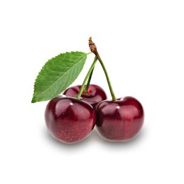 Bubbles ciliegia 3,2 kg|Boba per bubble tea