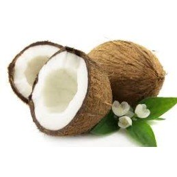 cocco