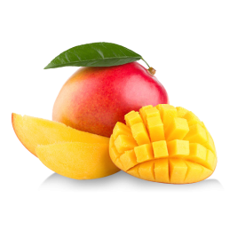 insa mango