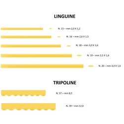 Macchina per pasta fresca tr75|Macchine per Pasta Fresca Professionale