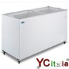 Congelatore a pozzetto 1298x629x892932,00 €932,00 €Congelatori con porte vetro scorrevoliF.A.R.H. Snc Di Bottacin Antonio & C