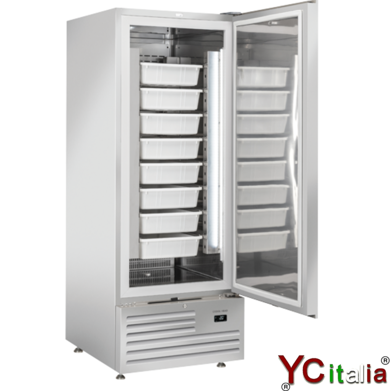 Frigo per pesce 600 lt tn 740x880x2025h|Frigoriferi per pesce