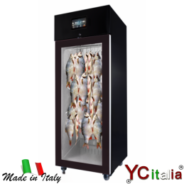 Armadio per frollatura pesce 720x820x2050