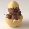 Stampo a forma di pulcino esce dal guscio|Stampi pasquali di cioccolato