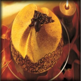 Stampi spirale|Stampi semifreddo riutilizzabili in plastica