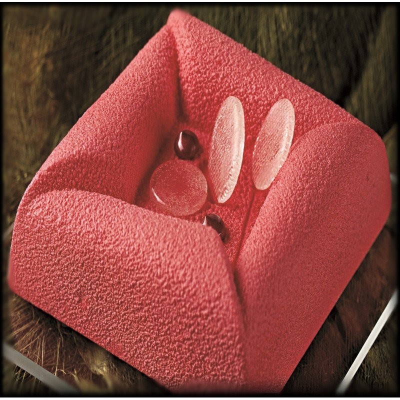 Stampi cornice|Stampi semifreddo riutilizzabili in plastica