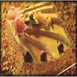 Stampi ventaglio|Stampi semifreddo riutilizzabili in plastica