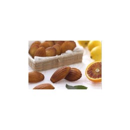 Stampo per madeinettes antiaderente|Stampi antiaderente