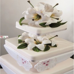195,00 €F.A.R.H. Snc Di Bottacin Antonio & CPlexiglass CakeErhöht bringt Torte Mod. Farbe