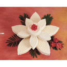 155,50 €F.A.R.H. Snc Di Bottacin Antonio & CRise Loto Flower CakeLevez des gâteaux en plastique