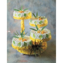 Levez des gâteaux en plastique|F.A.R.H. Snc Di Bottacin Antonio & C