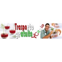 Bicchieri指食品单纯指食品玻璃