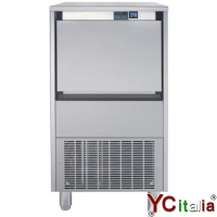 Fabbricatori di ghiaccio per pescherie