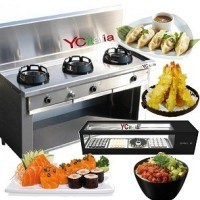 Attrezzature professionali per cucine cinesi  & wok