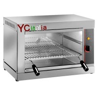 持械运输的专业人员